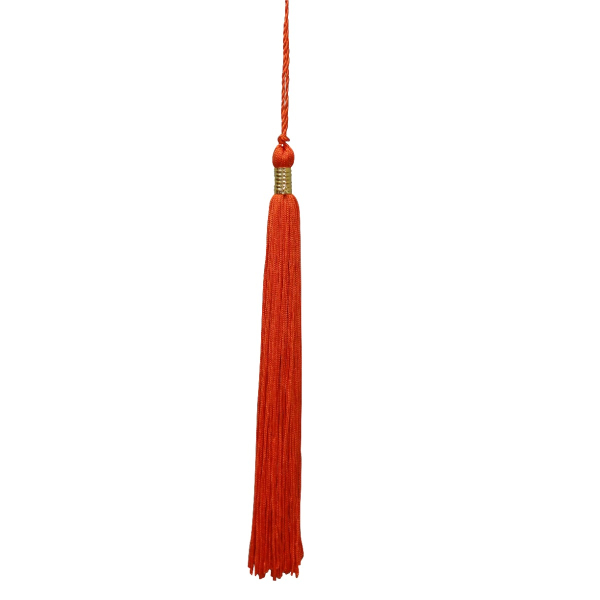 Past Year Graduation Tassels