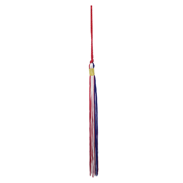 Past Year Graduation Tassels